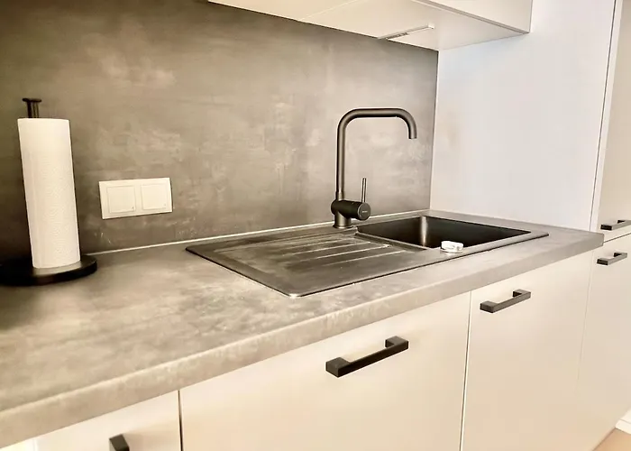 Luxury Stylish With Free Parking Βιέννη