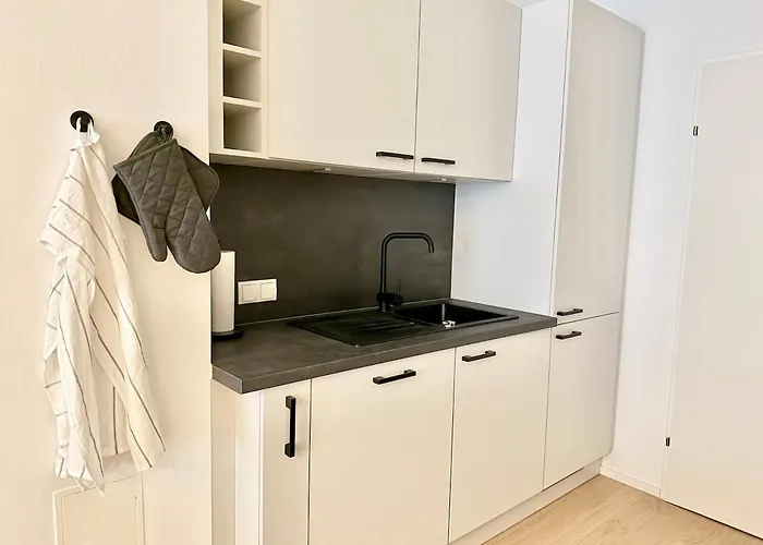 Luxury Stylish With Free Parking וינה